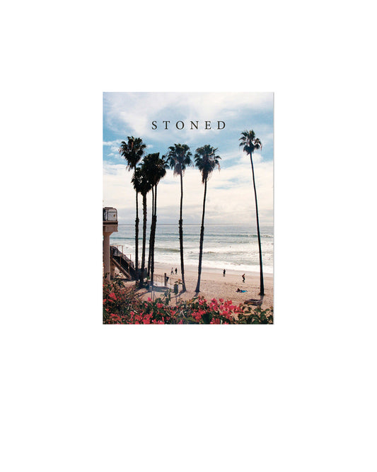 Stoned #5 cover with beach scene